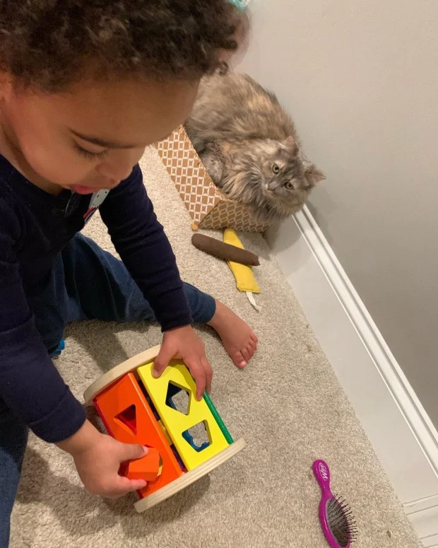 Melissa & Doug Shape Sorting Drum 7 Melissa & Doug Shape Sorting Drum - Image 7