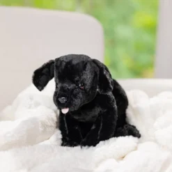 Melissa & Doug Benson Black Lab - Stuffed Animal Puppy Dog -Melissa & Doug Shop GUEST c5abe274 3d5b 488b afe6 0ed6842901e2